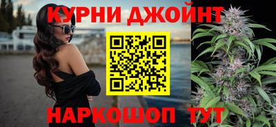 альфа пвп Волгодонск