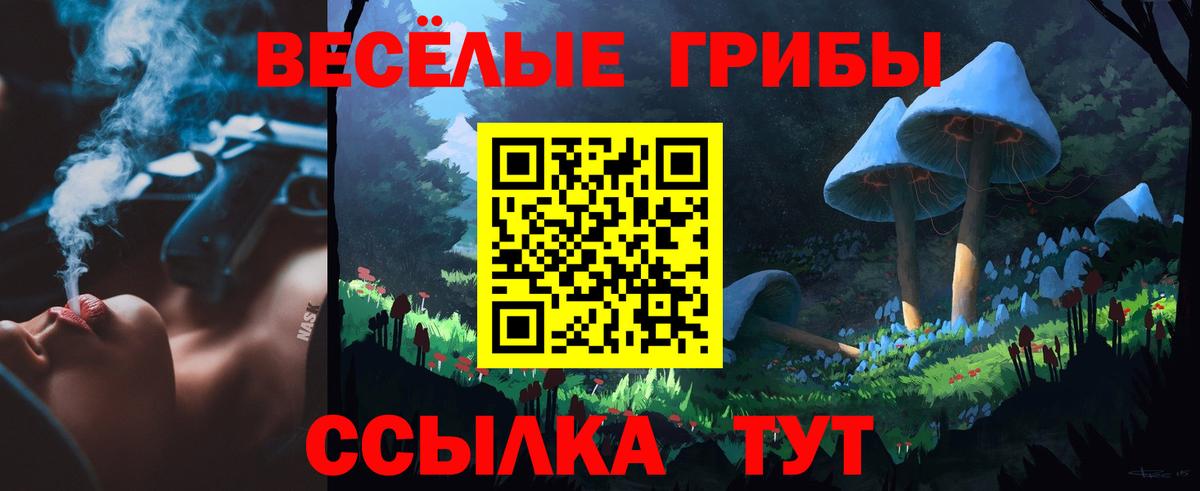Галлюциногенные грибы Psilocybine cubensis Белогорск