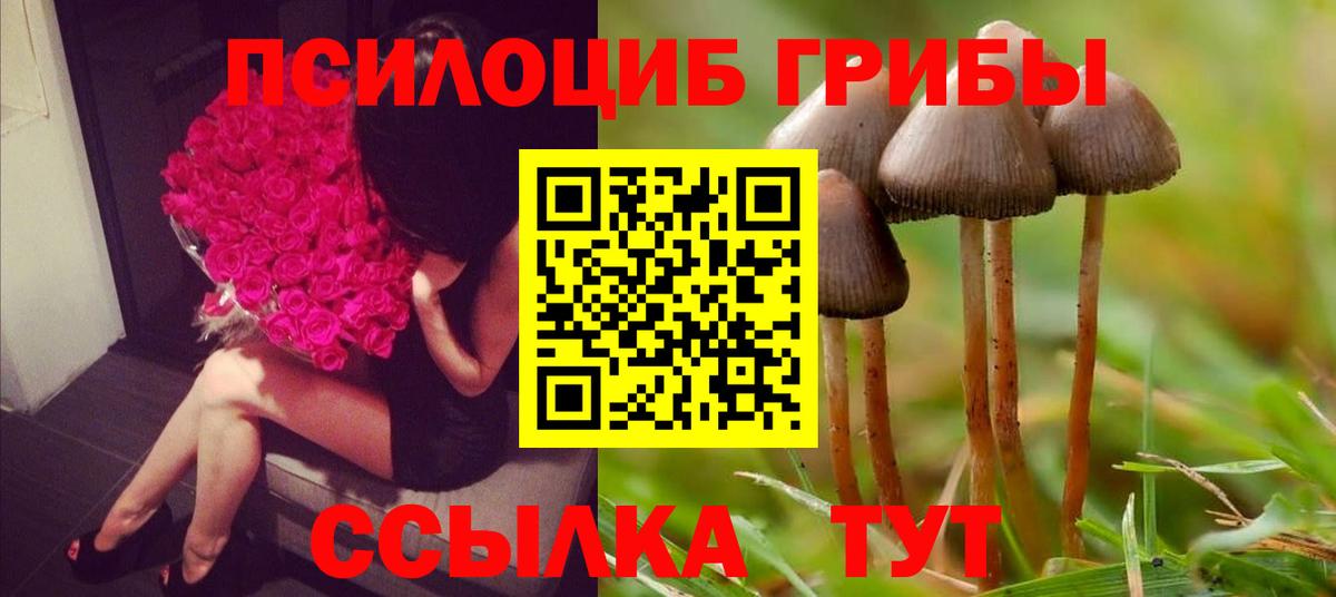 Псилоцибиновые грибы Cubensis  что такое наркотик  Галлюциногенные грибы GOLDEN TEACHER  Белогорск  Вход с VPN 